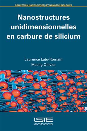 Nanostructures unidimensionnelles en carbure de silicium