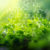 Domaine SCIENCES Biologie - Livres scientifiques et techniques