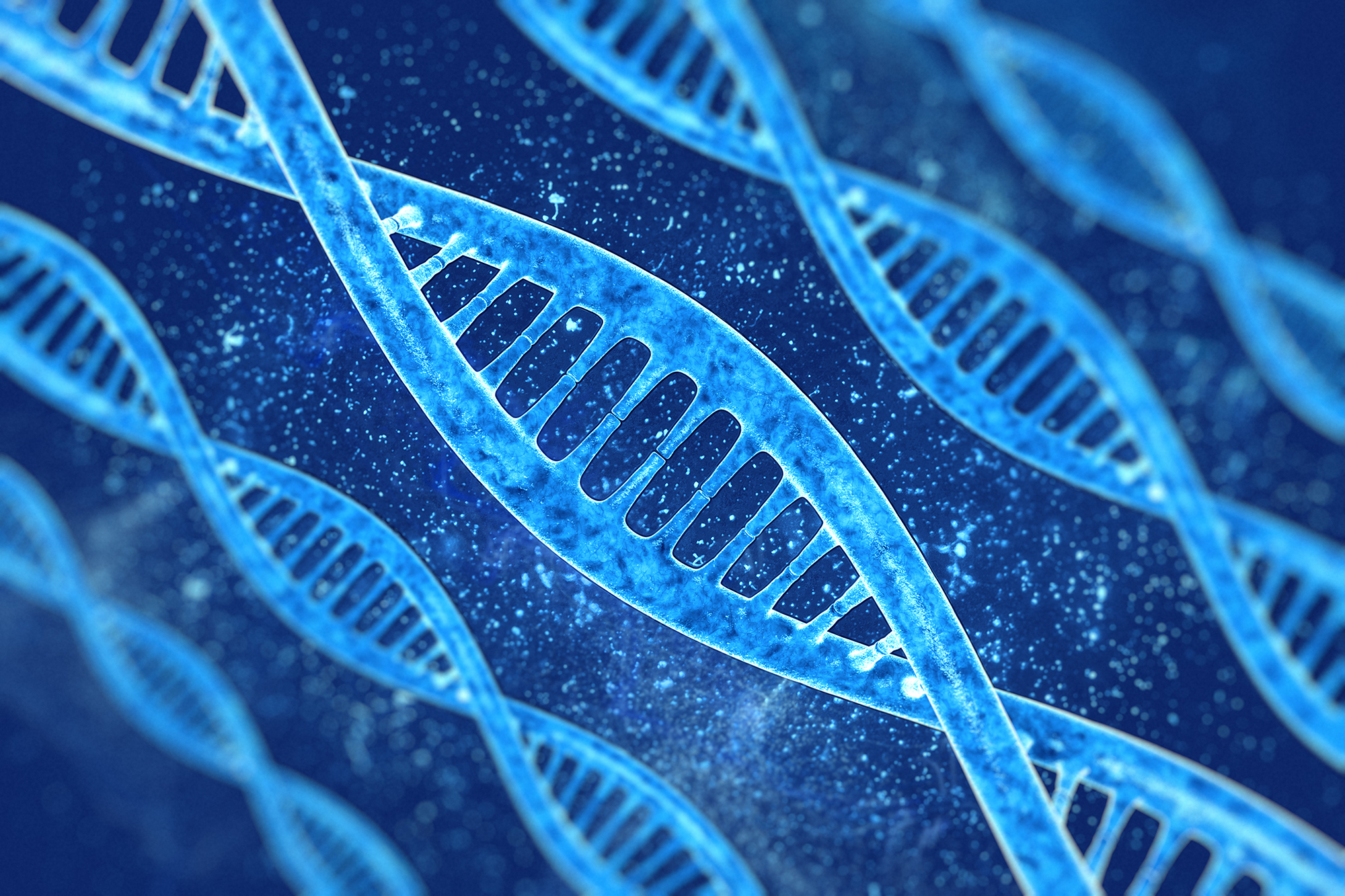 Biologie, médecine et santé – ISTE Editions