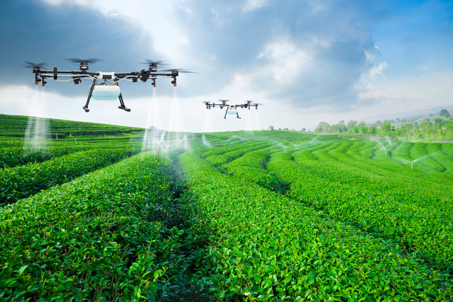 Drone agriculture