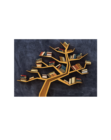 Collection ISTE-TC